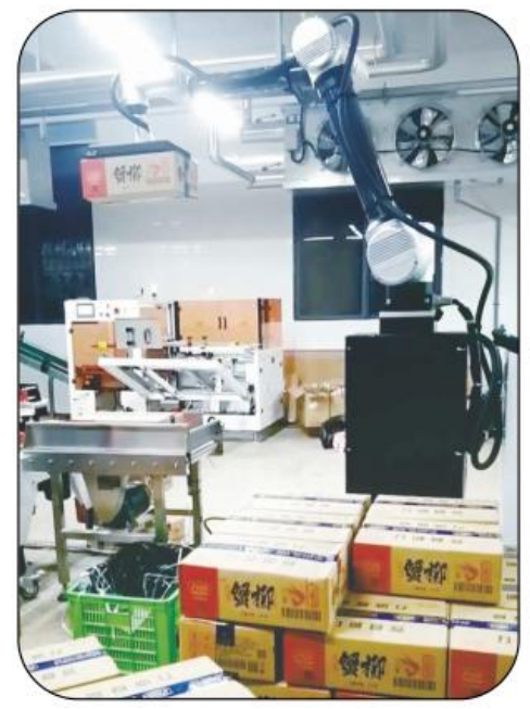 Ai-RMD30 এআই কোলাবোরেটিভ প্যালেটাইজিং রোবট (≤৯ কার্টন/মিনিট) – একাধিক পরিস্থিতির জন্য বুদ্ধিমান নমনীয় প্যালেটাইজিং সমাধান